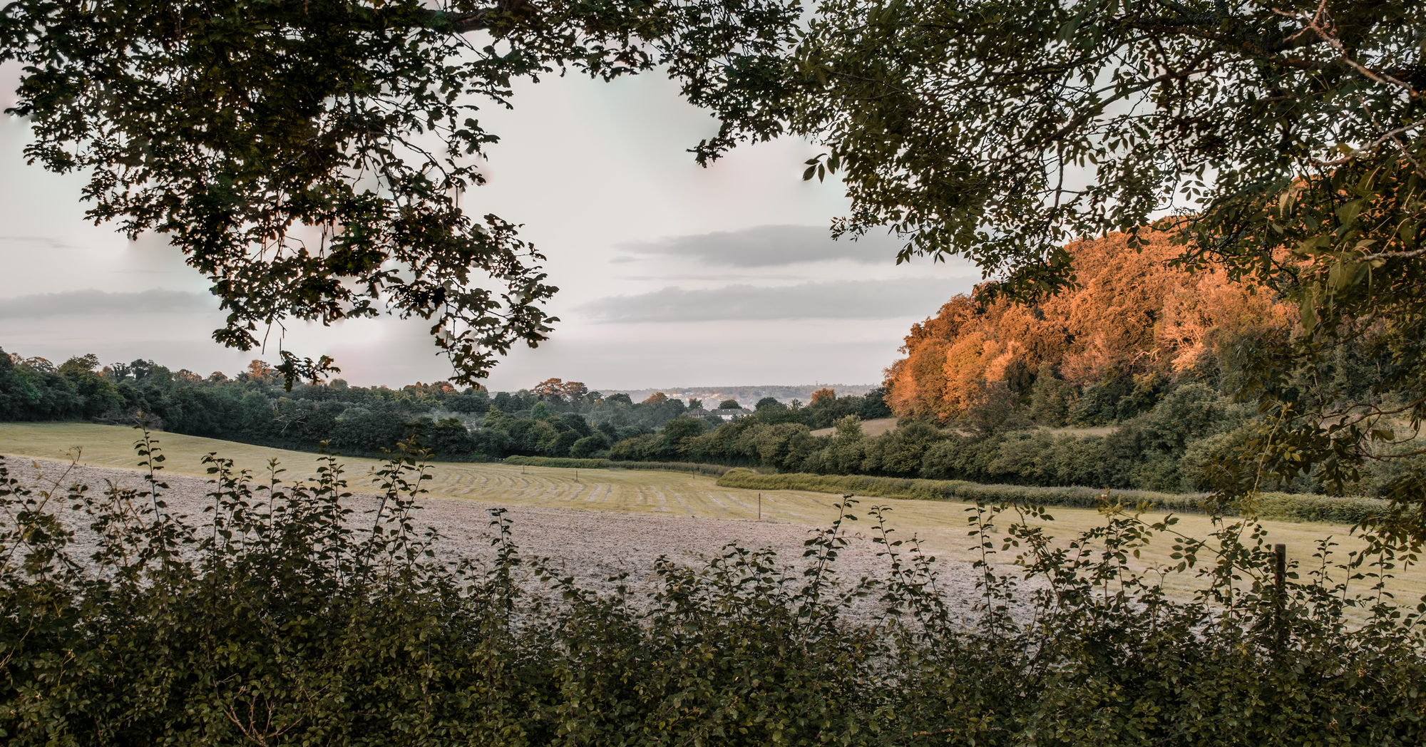 sunny evening landscape with town in distance